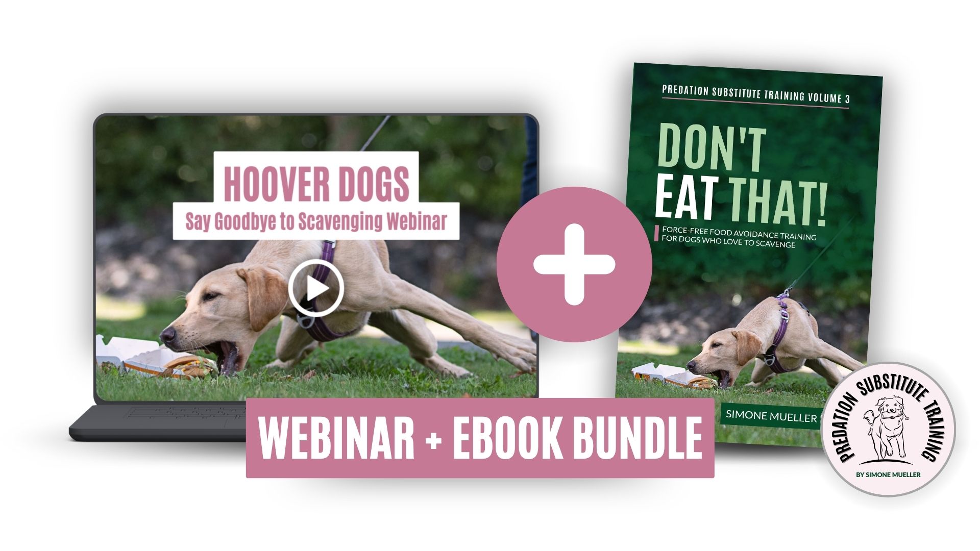 Say Goodbye To Scavenging (Webinar + Ebook Bundle)
