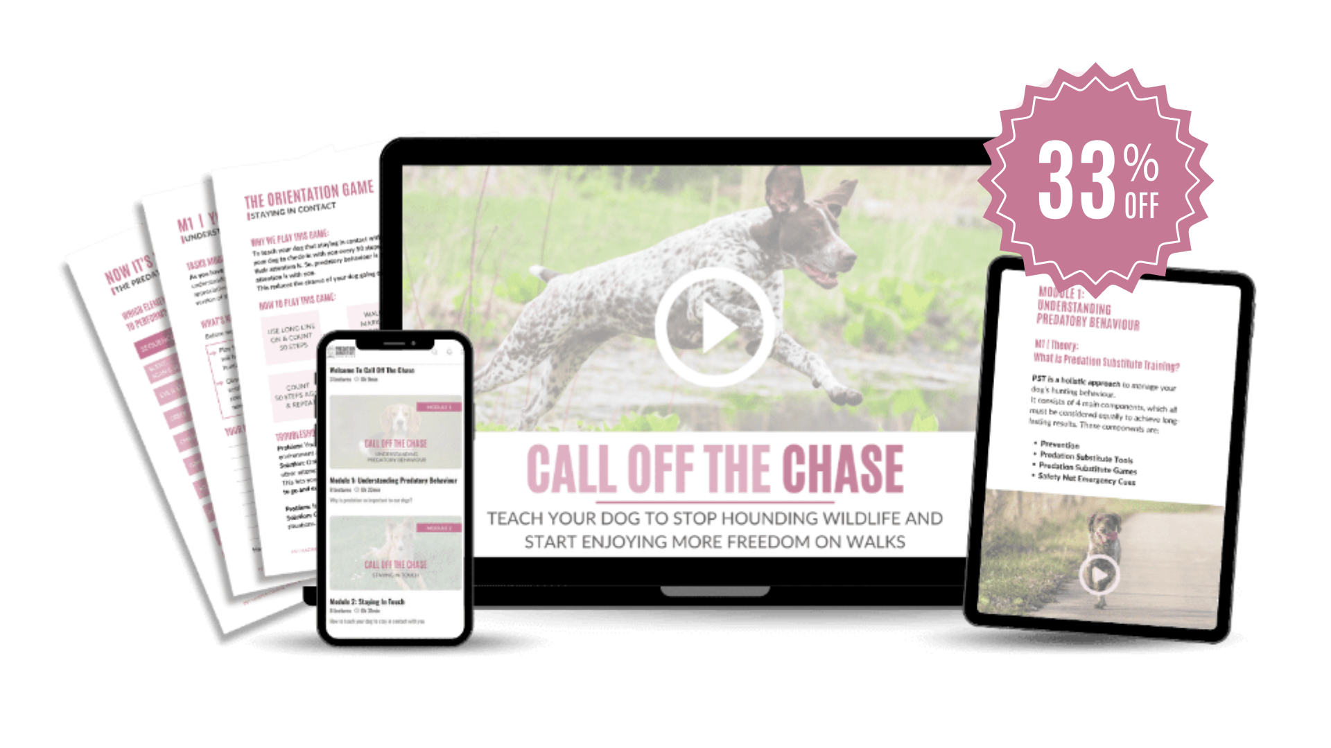 Call Off The Chase - PST Master Course - WEBINAR OFFER