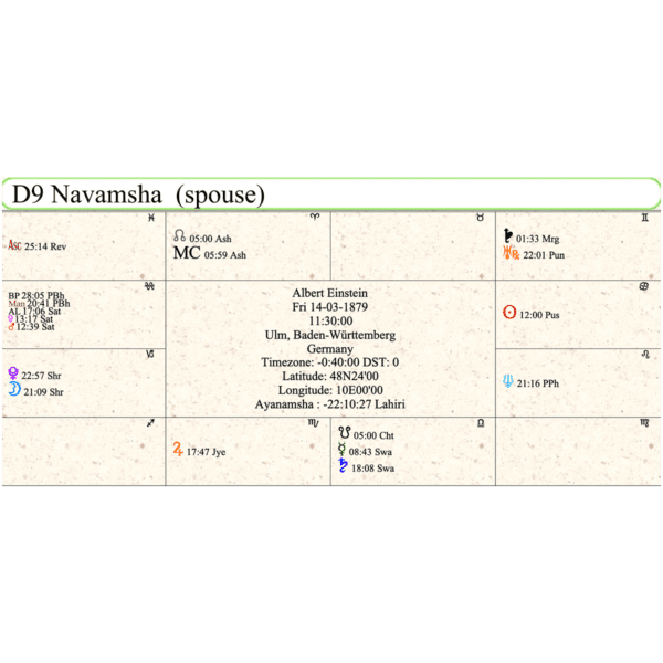 D9 Navamsha Horoscope Image