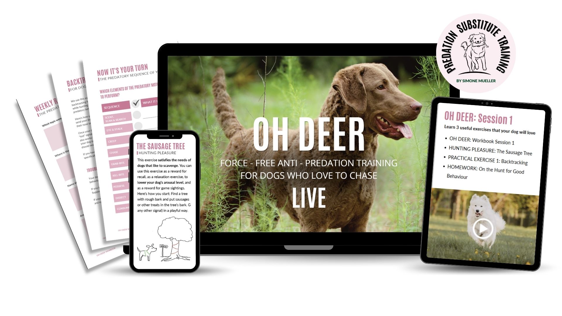 OH DEER! (Instructor Edition)