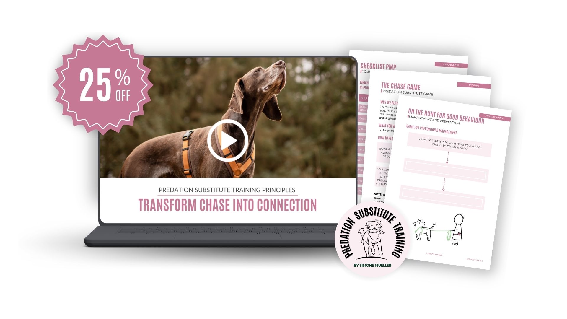 Transform Chase Into Connection - 25% Discount