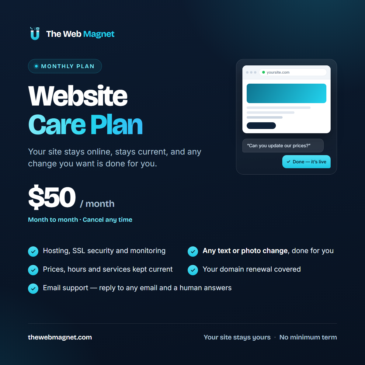 Website Care Plan