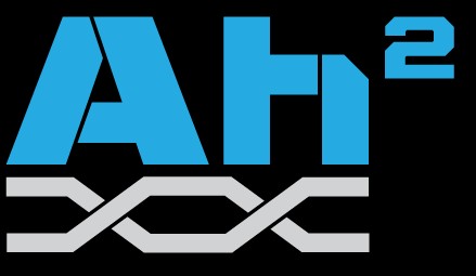 headhunter career