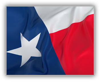 Navarro County JP 1-4