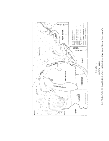 Cambrian Hydrocarbon Traps on the Northwest Rim of the Appalachian Basin Page 13