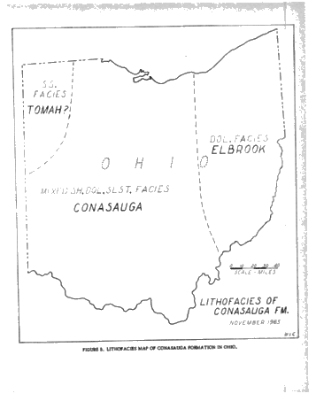 Cambrian Correlations Page 7