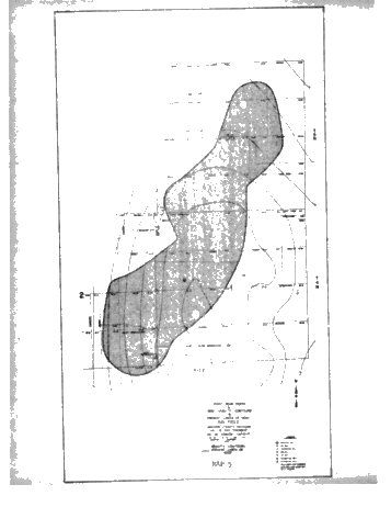 A History of the Ray Reef Page 18