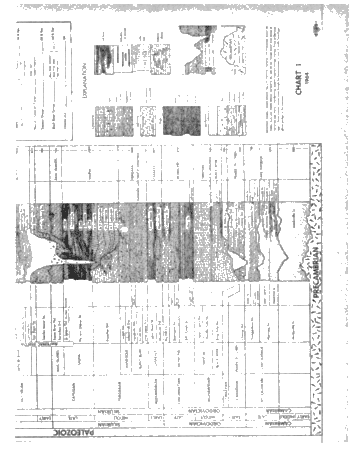 A History of the Ray Reef Page 21