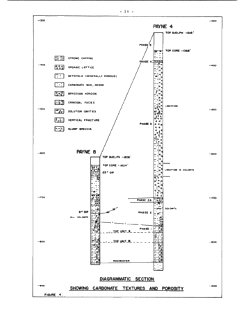 Demand for Petroleum and Natural Gas in Canada Page 30