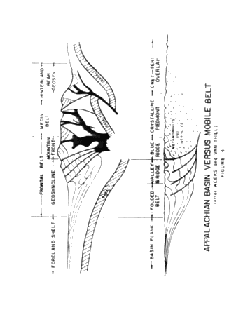 The Occurrence of Hydrocarbons in the Medinan (Alexandrian) Series South of Lake Erie Page 21