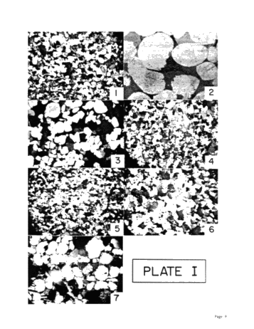 Petrography of Palaeozoic Sandstones in Southern Ontario Page 9