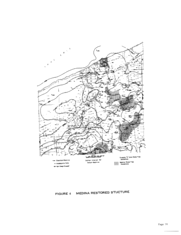 Medina and Oriskany Production Along the Shore of Lake Erie, Pierce Field, Erie County, Pennsylvania Page 39