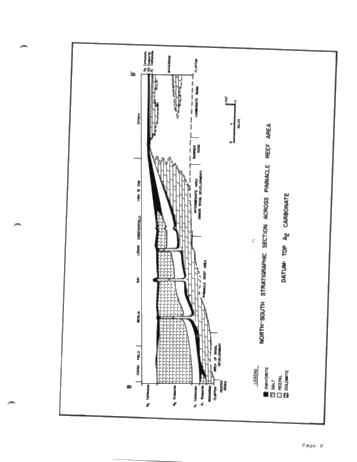 Exploration for Niagaran Reefs in Northern Michigan Page 5
