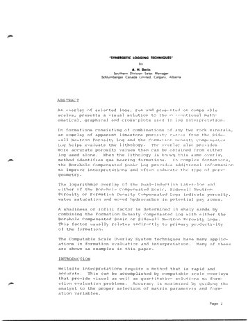 Synergetic Logging Techniques Page 1