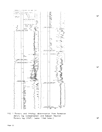 Synergetic Logging Techniques Page 12