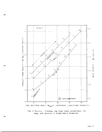 Synergetic Logging Techniques Page 13