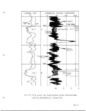 Synergetic Logging Techniques Page 25