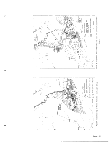 Silurian of Southwestern Ontario Page 33