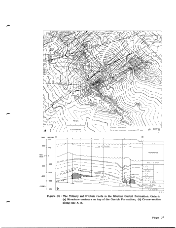Silurian of Southwestern Ontario Page 39