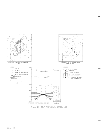 Silurian of Southwestern Ontario Page 40