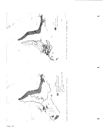 Silurian of Southwestern Ontario Page 42
