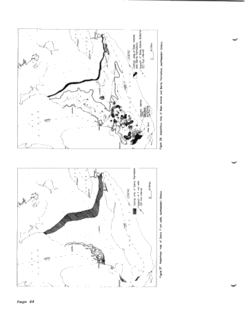 Silurian of Southwestern Ontario Page 46