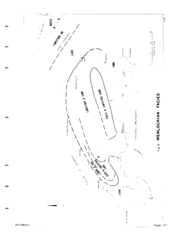 Petroleum Potential in the Gaspe Region of Quebec Page 15