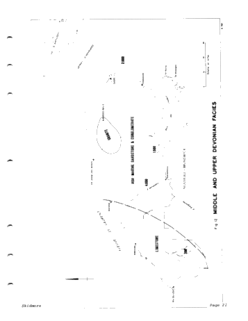 Petroleum Potential in the Gaspe Region of Quebec Page 21