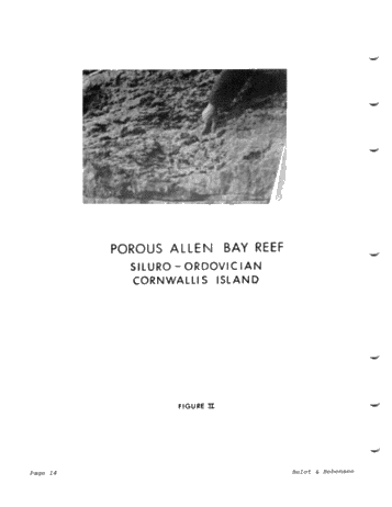 The Canadian Arctic and Magnorth's Involvement Page 14
