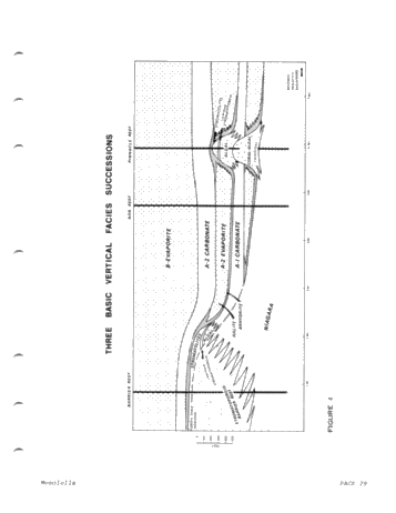 Reciprocal Deposition Within Niagara and Early Cayugans Carbonates and Evaporates Northern Michigan Basin Page 29