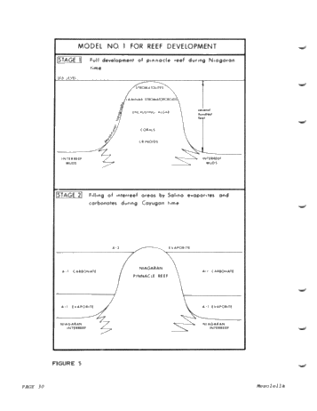 Reciprocal Deposition Within Niagara and Early Cayugans Carbonates and Evaporates Northern Michigan Basin Page 30