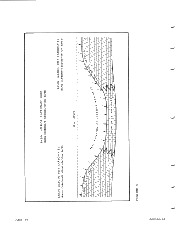 Reciprocal Deposition Within Niagara and Early Cayugans Carbonates and Evaporates Northern Michigan Basin Page 34