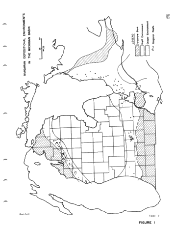 Niagaran Pinnacle Reefs in Michigan Page 7