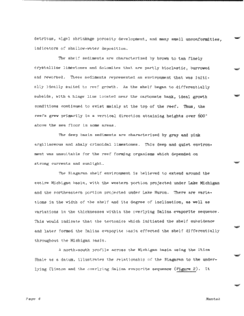 Niagaran Pinnacle Reefs in Michigan Page 8