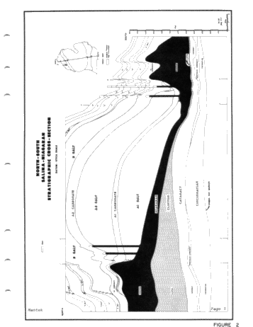 Niagaran Pinnacle Reefs in Michigan Page 9