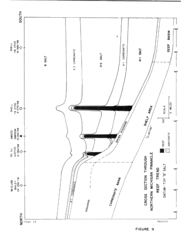 Niagaran Pinnacle Reefs in Michigan Page 22