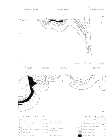 Petroleum Potential in the Carboniferous of Nova Scotia Page 12