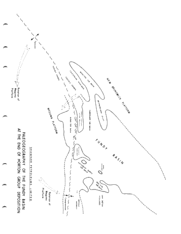 Petroleum Potential in the Carboniferous of Nova Scotia Page 17