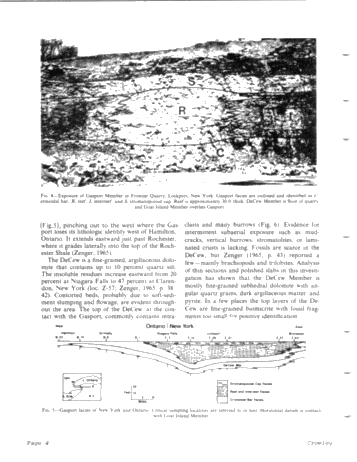 Middle Silurian Patch Reefs in Gasport Member New York Page 4