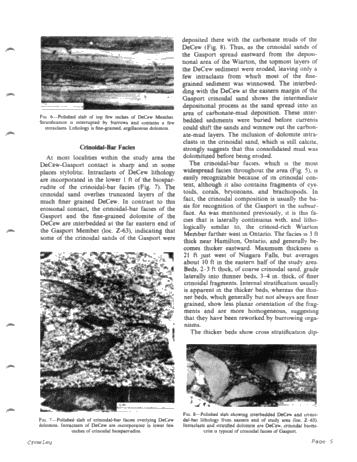 Middle Silurian Patch Reefs in Gasport Member New York Page 5