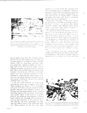 Middle Silurian Patch Reefs in Gasport Member New York Page 6
