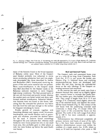 Middle Silurian Patch Reefs in Gasport Member New York Page 7