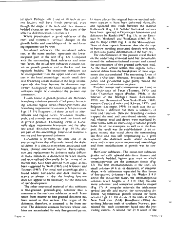 Middle Silurian Patch Reefs in Gasport Member New York Page 8