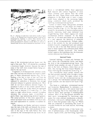 Middle Silurian Patch Reefs in Gasport Member New York Page 12