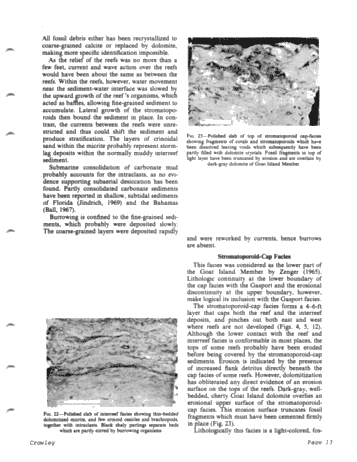 Middle Silurian Patch Reefs in Gasport Member New York Page 13