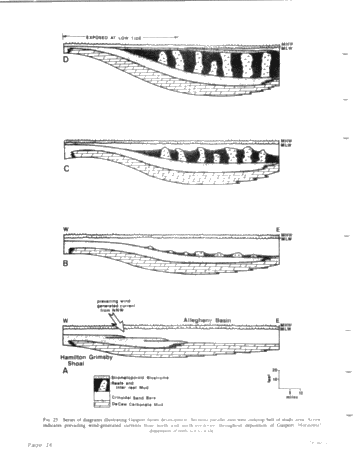 Middle Silurian Patch Reefs in Gasport Member New York Page 16