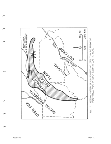 Environments of Deposition of The Medina (Grimsby) Formation and Exploration for Hydrocarbons Page 11