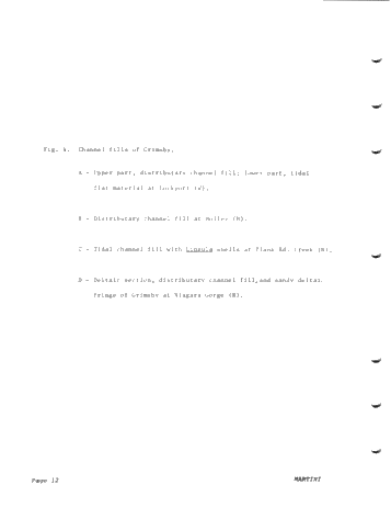 Environments of Deposition of The Medina (Grimsby) Formation and Exploration for Hydrocarbons Page 12