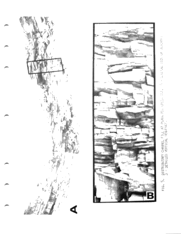 Environments of Deposition of The Medina (Grimsby) Formation and Exploration for Hydrocarbons Page 15
