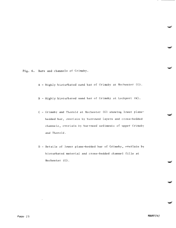 Environments of Deposition of The Medina (Grimsby) Formation and Exploration for Hydrocarbons Page 16